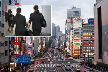 ஜப்பானில் வேலை வாங்கி தருவதாக மோசடி! இலங்கையில் பெண் தலைமறைவு