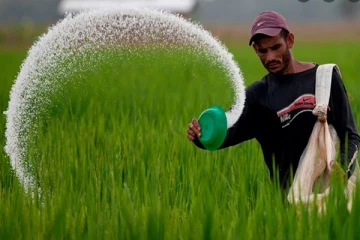 யூரியா உர இறக்குமதி தொடர்பில் அமைச்சர் வெளியிட்ட தகவல்
