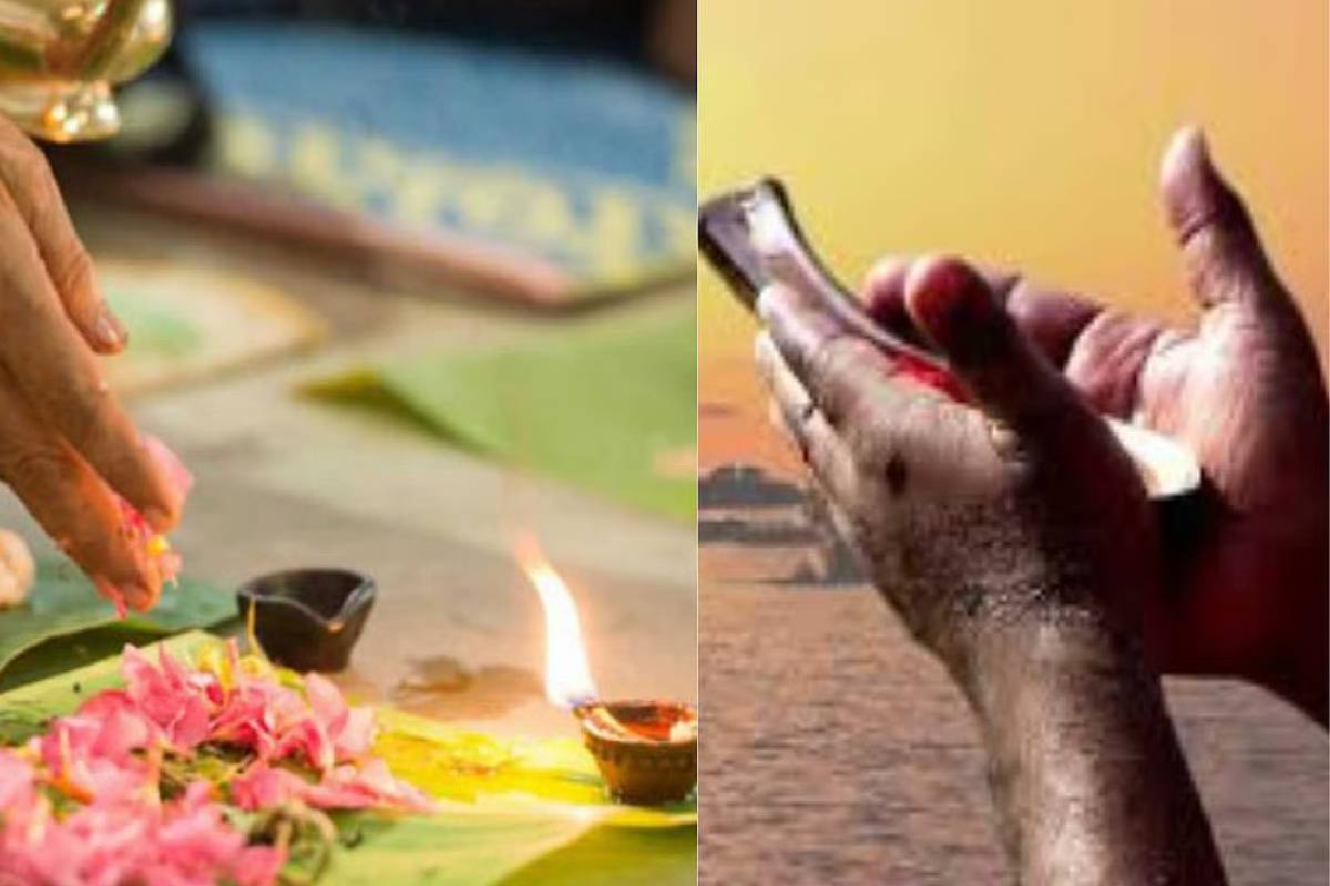 மகாளய பட்ச ரகசியம் - முன்னோர்களின் ஆசீர்வாதம் கிடைத்தால் வீட்டில் தோன்றும் 5 அறிகுறிகள்! | Mahalaya Paksha These Creatures Brings Blessings மகாளய பட்ச ரகசியம் - முன்னோர்களின் ஆசீர்வாதம் கிடைத்தால் வீட்டில் தோன்றும் 5 அறிகுறிகள்! | Mahalaya Paksha These Creatures Brings Blessings