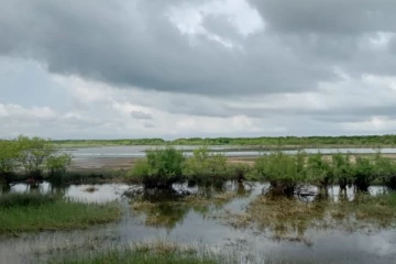பச்சைப்புல்மோட்டை மாவீரர் துயிலும் இல்லத்தில் மறக்கப்பட்ட மாவீரர் நாள் நிகழ்வுகள் (Photos)