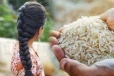 முடியின் நீளத்தை அதிகரிக்க உதவும் அரிசி.., எப்படி பயன்படுத்துவது?