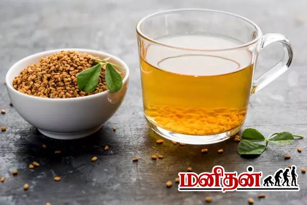 ஒல்லியான இடுப்பு வேணுமா? அப்போ வெந்தயத்தை இப்படி சாப்பிடுங்க | Fenugreek For Weight Loss In Tamil