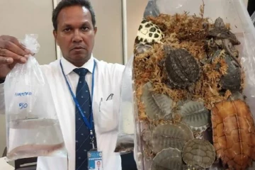 இலங்கைக்கு கடத்தப்பட்ட 88 அரிய உயிரினங்கள்! கட்டுநாயக்கவில் அதிரடியாக கைது செய்யப்பட்ட தம்பதியினர்