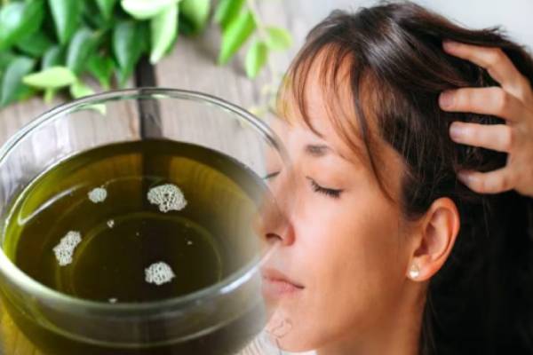 கட்டுக்கடங்காத கூந்தல் வளர்ச்சிக்கு உதவும் மருதாணி எண்ணெய்.., எப்படி தயாரிப்பது? | How To Make Henna Oil At Home In Tamil கட்டுக்கடங்காத கூந்தல் வளர்ச்சிக்கு உதவும் மருதாணி எண்ணெய்.., எப்படி தயாரிப்பது? | How To Make Henna Oil At Home In Tamil