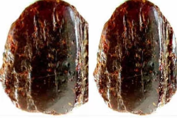 ரூ.9.2 கோடி என்று தெரியாமல் கருப்பு கல்லை வாசல் படியாக பயன்படுத்திவந்த மூதாட்டி