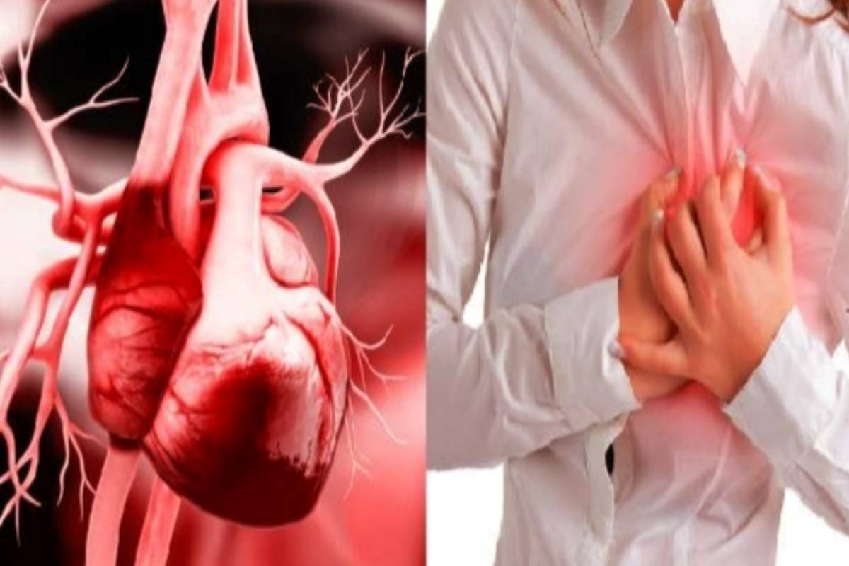 மாரடைப்பு ஏன் ஏற்படுகிறது? இதய செயலிழப்புக்கு இது தான் காரணமா? | What Causes Heart Attack Cause Of Heart Failure