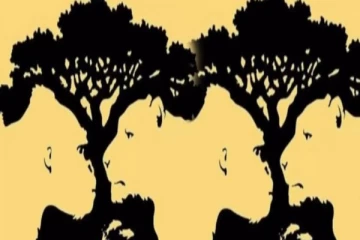 மறைந்திருக்கும் குணத்தை கண்டுபிடிக்க ஒரு Test- படத்தில் தெரிவது என்ன?