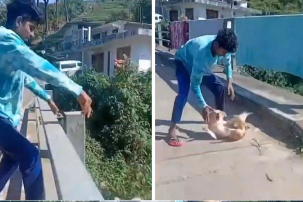 நாயை தூக்கி அடித்த இளைஞனுக்கு நேர்ந்த கதி | Remand Young Man Who Hit The Dog Nanuoya