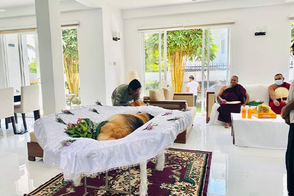 இலங்கையில் செல்லப் பிராணிக்கு இறுதிச் சடங்கு ; சோகத்தில் குடும்பத்தினர் | Funeral For A Pet Family In Mourning