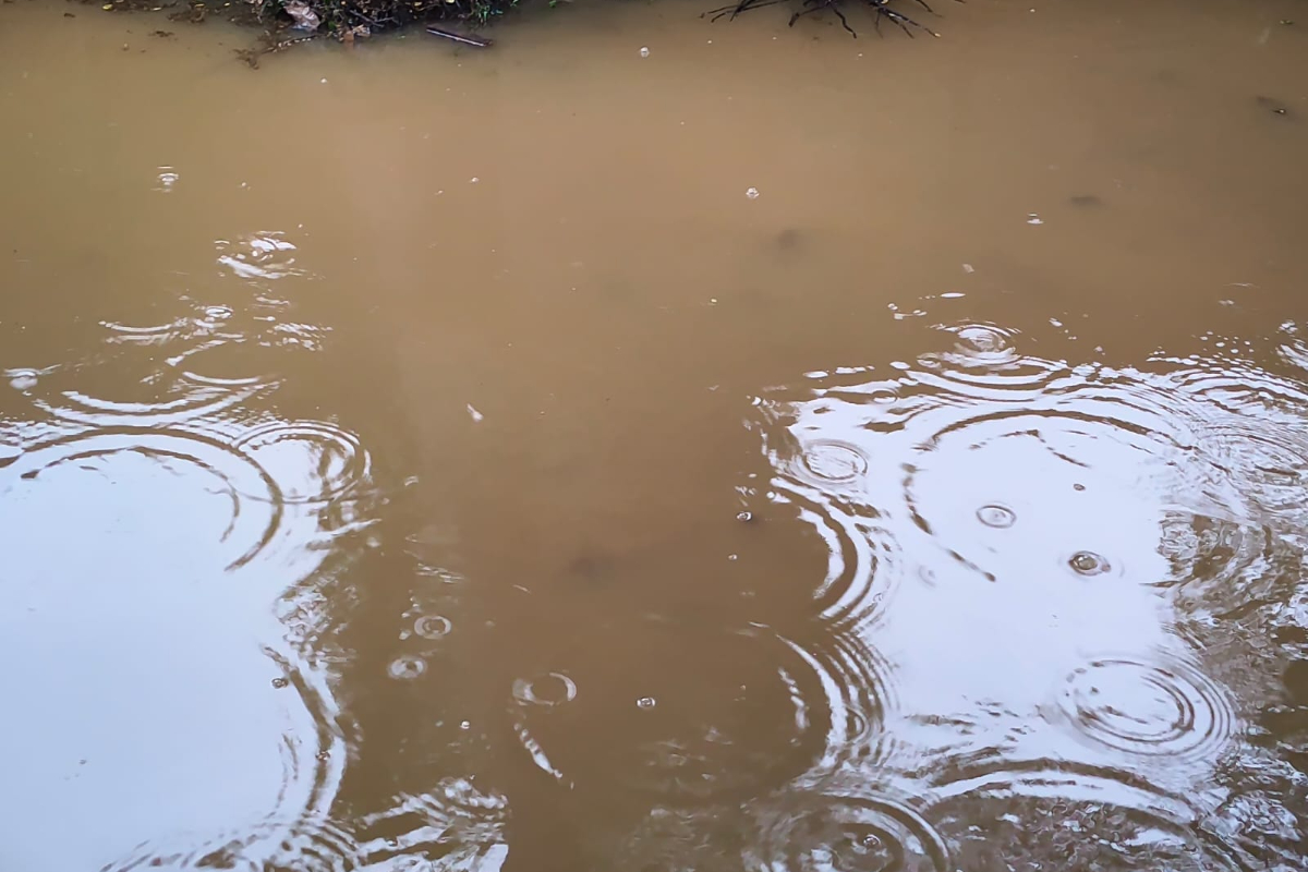 தம்பலகாமத்தில் கனமழையால் வீடுகளுக்குள் நீர் | Weather Alert In Sri Lanka தம்பலகாமத்தில் கனமழையால் வீடுகளுக்குள் நீர் | Weather Alert In Sri Lanka