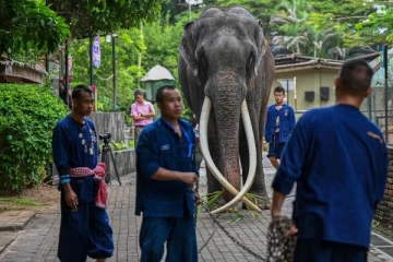 இலங்கையிலிருந்து கொண்டுசெல்லப்பட்ட முத்துராஜாவின் சிகிற்சை செலவை ஏற்ற மன்னர்!