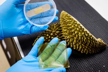 தூக்கி எறியப்படும் துரியன் பழத் தோலில்  பேண்டேஜ்!