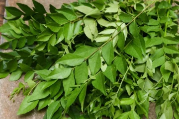 කරපිංචා කියන තරම් ගුණද..?