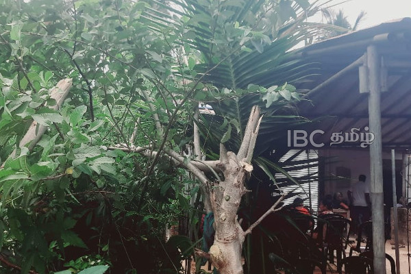 மின்கம்பியில் சிக்குண்டு பெண் பரிதாப மரணம் | Woman Entangled In Power Line Death Sl