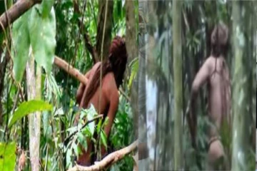 மனிதத்தொடர்பின்றி காட்டில் தனியாக வாழ்ந்த நபருக்கு நேர்ந்த நிலை!