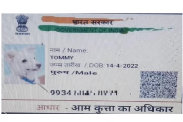 சாதி சான்றிதழுக்கு விண்ணப்பித்த நாய் - வியந்து போன அதிகாரிகள்..!