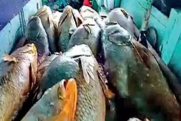 மீனவர் வலையில் சிக்கிய தங்க இதய மீன்... ஒரே நாளில் கோடீஸ்வரனாகிய அதிசயம்!