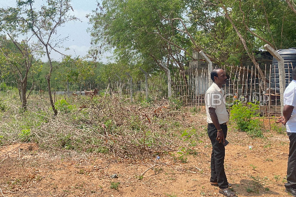 யாழில் உயர் பாதுகாப்பின் கீழ் இருந்த காணிகள் விடுவிப்பு - நோர்வே நிறுவனத்தின் விஜயம்! | Palaly Jaffna Resettlement Temporary Camp Norway