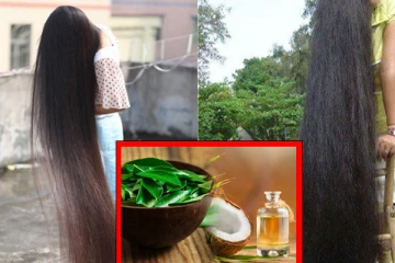 முடி வளர்ச்சிக்கு கறிவேப்பிலை ஹேர் பேக் போடுங்கள், அதை செய்வது எப்படி?