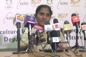 කිසිදු පොහොර හිඟයක් නෑ - යල කන්නය ගැන බය වුණ ගොවීන්ට සුබ ආරංචියක්