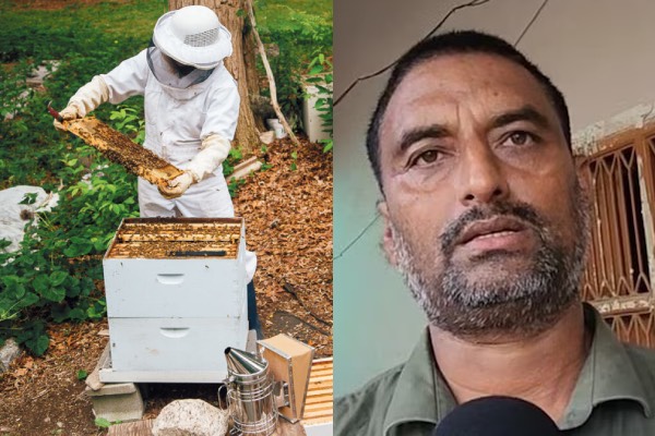 கோடிகளில் கொட்டும் பணம்: யார் இந்த தேன் மனிதர்? | Who Is Honey Man Of Bhagalpur In India கோடிகளில் கொட்டும் பணம்: யார் இந்த தேன் மனிதர்? | Who Is Honey Man Of Bhagalpur In India