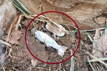 வடபகுதியில் வெடிகுண்டுகள் - தீவிர விசாரணையில் காவல்துறையினர்!