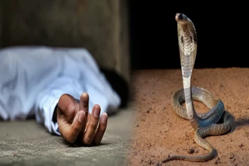 தமிழர் பகுதியில் துயரை ஏற்படுத்திய ஆசிரியரின் மரணம் ; பாம்பு தீண்டியதில் நேர்ந்த அசம்பாவிதம்