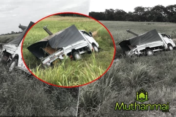 மின்கம்பத்தில் மோதிய வாகனம்! வைத்தியசாலையில் அனுமதிக்கப்பட்ட சாரதி