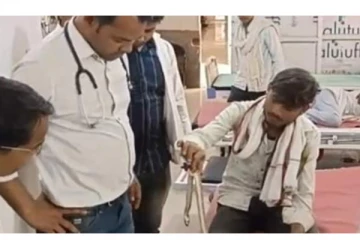 தாயை கடித்த பாம்பை பிடித்து மருத்துவமனைக்கு கொண்டு வந்த மகன்... - அதிர்ச்சி சம்பவம்