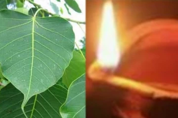 மாலையில் அரசமரத்தடியில் தீபம் ஏற்றுவதால் இத்தனை நன்மைகளா?