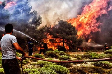 கிரீஸ் நாட்டின் தெற்கு பகுதியில் பயங்கர காட்டுத்தீ