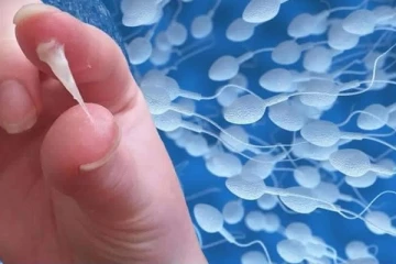 "ඊයා..!" නොකියා බැලිය යුතුම ලිපියක්. ශුක්‍ර තරලයේ ඔබ නොදත් සෞඛ්‍ය වාසි.