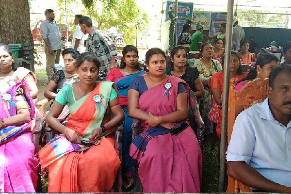கிளிநொச்சியில் நடைபெற்ற பாரம்பரிய உணவுக் கண்காட்சி (படங்கள்) | Traditional Food Fair At Kilinochchi
