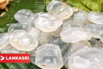 ஏராளமான மருத்துவ நன்மைகள் நிறைந்த நுங்கு ! இந்த நோய்கள் எல்லாம் தீர்க்குமாம்