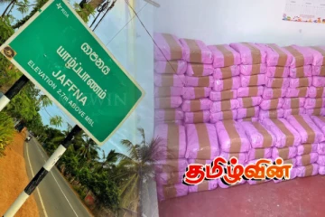 யாழ்ப்பாணத்தில் மீட்கப்பட்ட பெருமளவு கஞ்சா