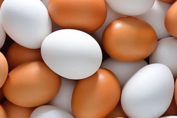 වැඩි මිලට බිත්තර අලෙවිකරන්නන් සොයා වැටලීම් අඛණ්ඩවම..