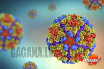 වැඩිම රෝගීන් ප්‍රමාණය බස්නාහිරින්