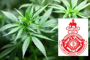 நாட்டின் கஞ்சாவை சட்டப்பூர்வமாக்கும் நடவடிக்கைக்கு எதிர்ப்பு