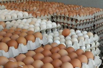 ආනයනික පළමු බිත්තර තොගය මෙරටට එන දිනය ගැන ඉඟියක්.