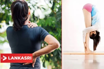 முதுகு வலி சார்ந்த பிரச்சினைகளை தீர்க்கனுமா? இந்த மூன்று பயிற்சியே போதும்