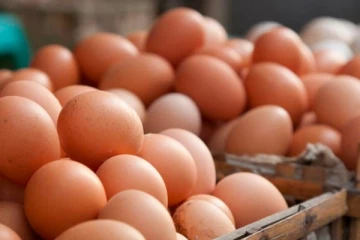 முட்டைகளை பதுக்கும் வர்த்தகர்களுக்கு எதிராக சட்ட நடவடிக்கை