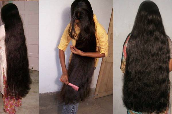 முடி சும்மா காடு போல வளரணுமா? இந்த ஒரு காயின் எண்ணெய் போதும் | Fast Hair Growth Use Olive Oil In One Month Beauty