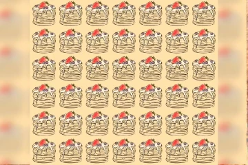 Optical Illusion: மறைந்திருக்கும் ப்ளூபெர்ரியை முடிந்தால் கண்டுபிடியுங்கள்