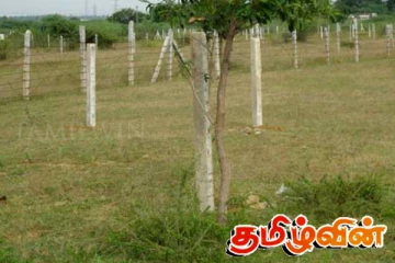 வடக்கில் அரச காணிகளில் நிலவும் பிரச்சினைகள்: நடவடிக்கை எடுக்குமாறு கோரிக்கை