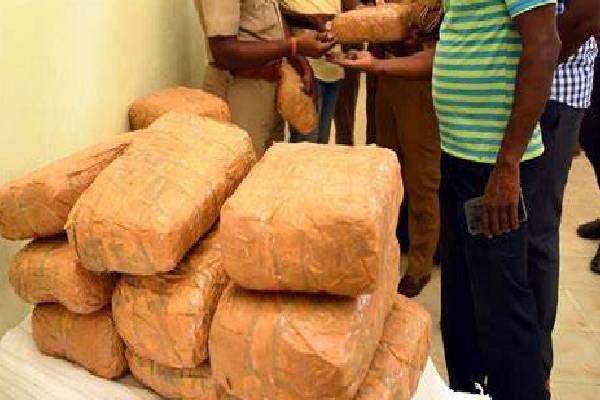 பாரிய போதைப்பொருள் கையிருப்புடன் தொடர்புடைய முக்கிய முன்னேற்றங்கள் | Major Developments Related Massive Drug Stockpiles