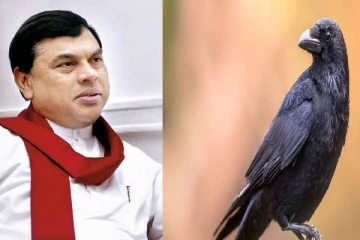 காகங்கள் தினத்தில் பிறந்தநாள் கொண்டாடும் முன்னாள் நிதியமைச்சர்...வைரலாகும் பதிவு