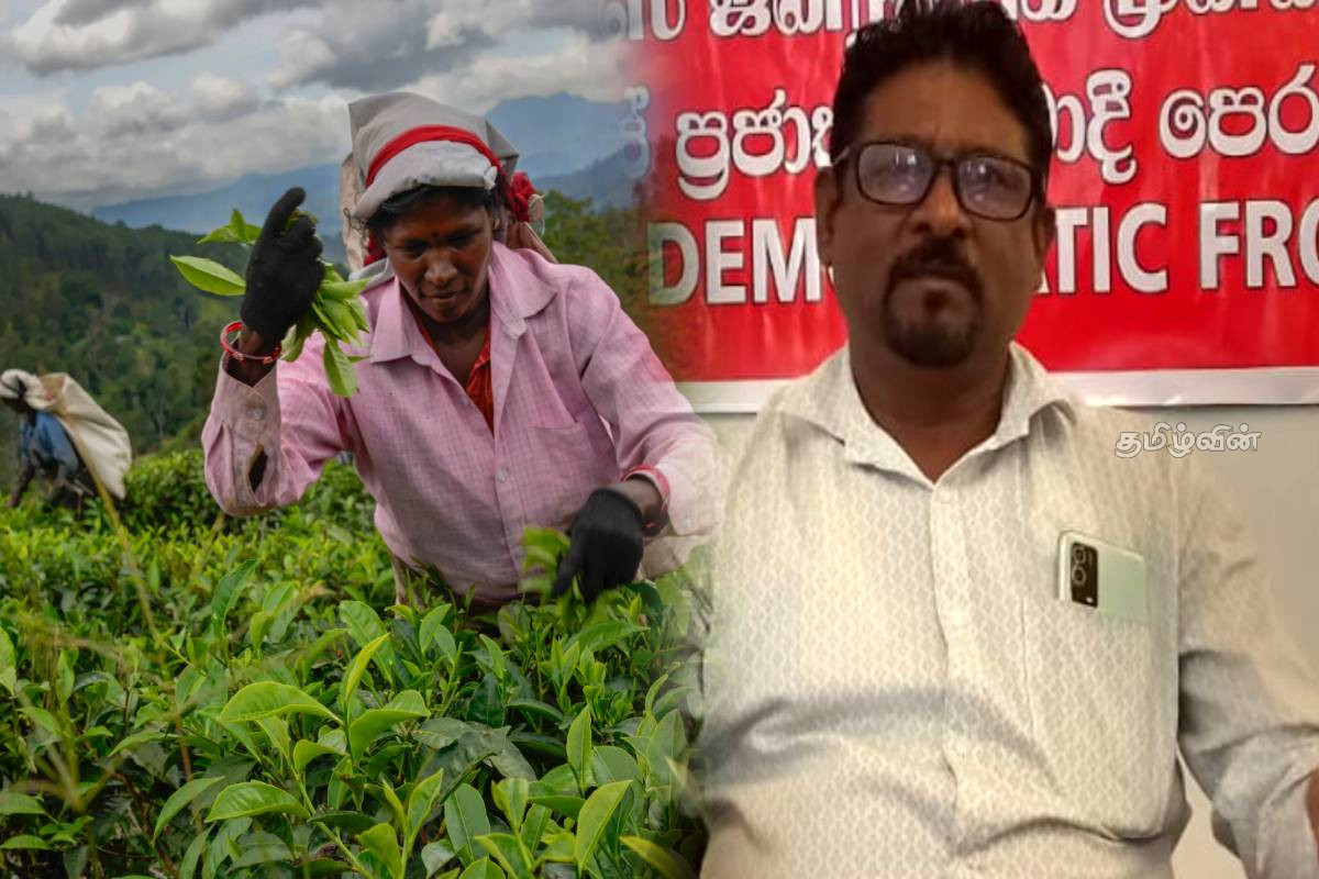 பெருந்தோட்ட மக்களுக்கு வாக்காளர் பதிவு: உடனடி நடவடிக்கை கோரும் ஜீவன் இராஜேந்திரன் | Voter Registration For Plantation People பெருந்தோட்ட மக்களுக்கு வாக்காளர் பதிவு: உடனடி நடவடிக்கை கோரும் ஜீவன் இராஜேந்திரன் | Voter Registration For Plantation People