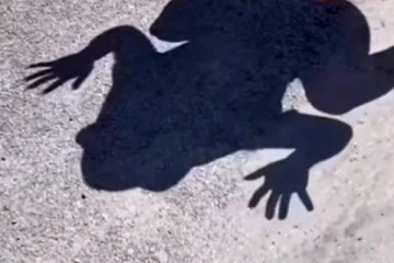 மனித உருவத்தில் மனிதர்களை மிரட்டும் இராட்சத தவளை! பிரமிக்க வைத்த காட்சி