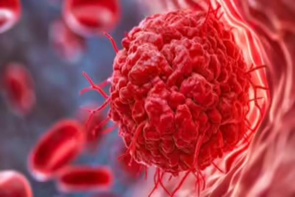 தமிழகத்தில் ஒரே ஆண்டில் லட்சத்தை தாண்டிய புற்றுநோய் பாதிப்பு | Cancer Incidence Has Increased In Tamil Nadu