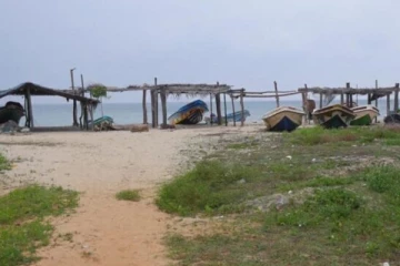 மன்னாரில் திடீரென மயங்கி விழுந்த நபர் உயிரிழப்பு